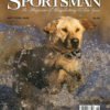 Shooting Sportsman - May/June 2002