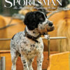 Shooting Sportsman - May/June 2011