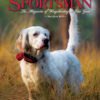 Shooting Sportsman - May/June 2015