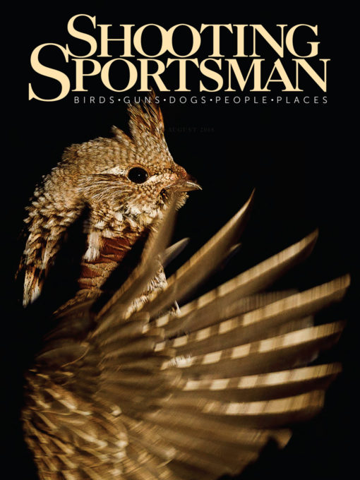 Shooting Sportsman - September/October 2018