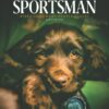 Dog on cover of SSM