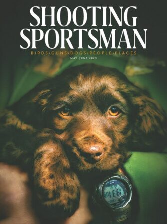 Dog on cover of SSM